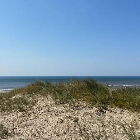Gorgeous In With Wifi Ferienhaus Noordwijk